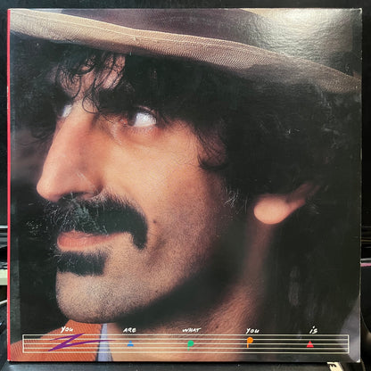 Frank Zappa - You Are What You Is (VINYL 2xLP BARKING PUMPKIN PW2 37537 1981) | Near Mint (NM or M-) Near Mint (NM) - ROCK/PSYCH / USED *NEAR MINT*