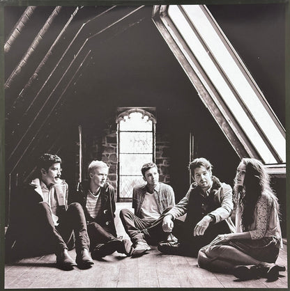 The Paper Kites - Evergreen (EVERGREEN MARBLE VINYL) | Mint (M) Mint (M) - ROCK *SEALED/COLOR*