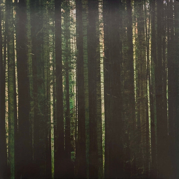 Evergreen (EVERGREEN MARBLE VINYL) | Mint (M) Mint (M)