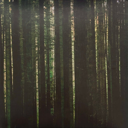 Evergreen (EVERGREEN MARBLE VINYL) | Mint (M) Mint (M)