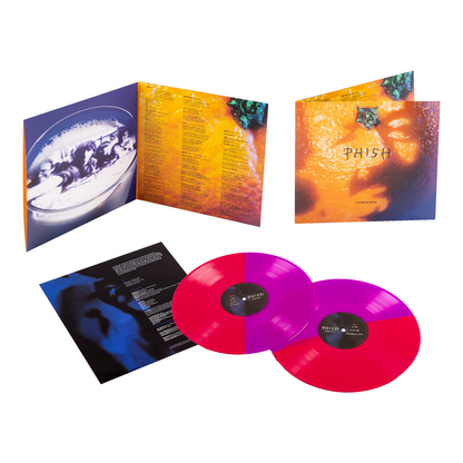 A Picture Of Nectar (B&M EXCLUSIVE: GRAPE APPLE PIE VINYL) | Mint (M) Mint (M) - ROCK *SEALED/COLOR*