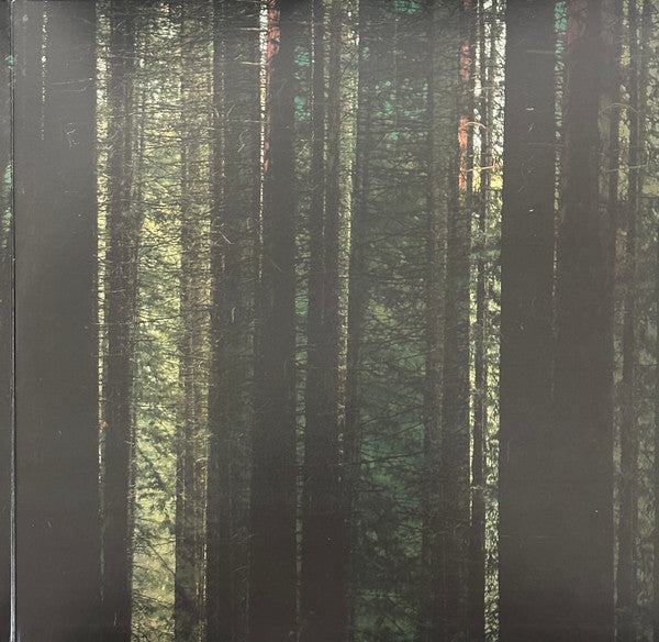 Evergreen (EVERGREEN MARBLE VINYL) | Mint (M) Mint (M)
