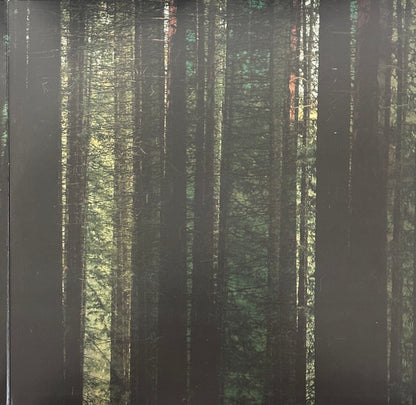 Evergreen (EVERGREEN MARBLE VINYL) | Mint (M) Mint (M)