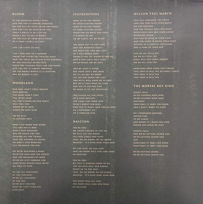 The Paper Kites - Evergreen (EVERGREEN MARBLE VINYL) | Mint (M) Mint (M) - ROCK *SEALED/COLOR*
