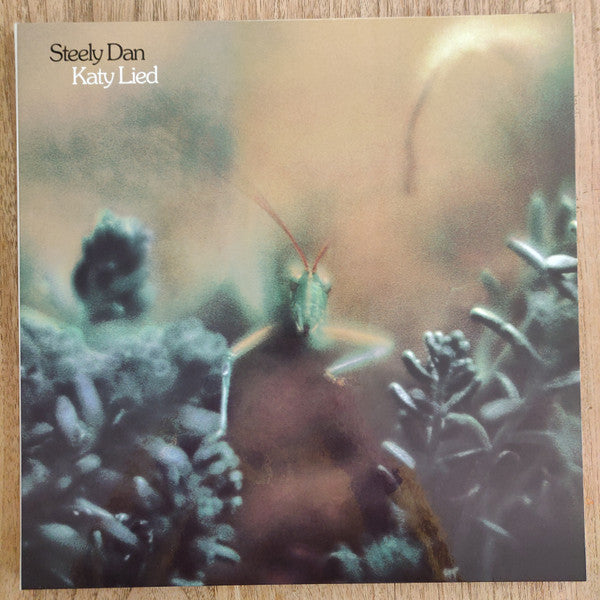 Katy Lied (AARP VINYL BOX SET) | Mint (M) Mint (M) - ROCK *SEALED*