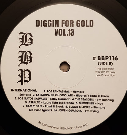 Diggin' For Gold Vol 13 (A Collection Of Demented 60' R&B/Punk & Mesmerizing Pop.) | Mint (M) Mint (M)