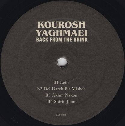 Back From The Brink (Pre-Revolution Psychedelic Rock From Iran: 1973-1979)(2xVINYL) | - ROCK *SEALED*