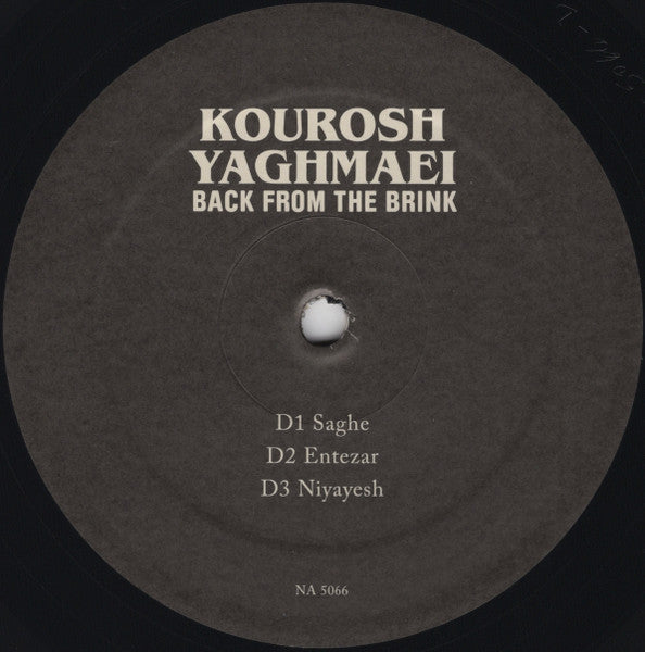 Back From The Brink (Pre-Revolution Psychedelic Rock From Iran: 1973-1979)(2xVINYL) | - ROCK *SEALED*