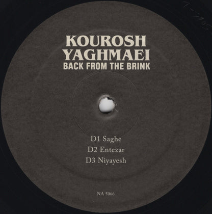 Back From The Brink (Pre-Revolution Psychedelic Rock From Iran: 1973-1979)(2xVINYL) | - ROCK *SEALED*