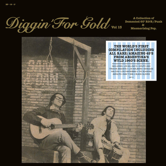 Diggin' For Gold Vol 13 (A Collection Of Demented 60' R&B/Punk & Mesmerizing Pop.) | Mint (M) Mint (M)