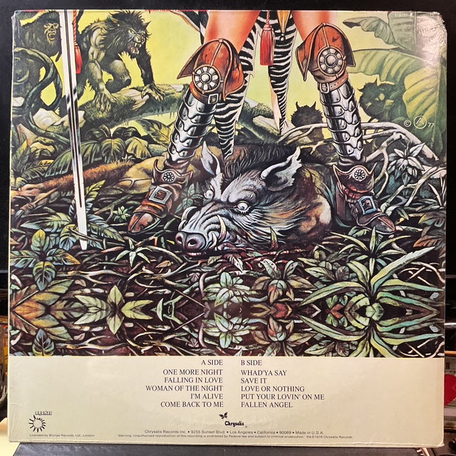 Fallen Angel (VINYL) | - ROCK *SEALED*