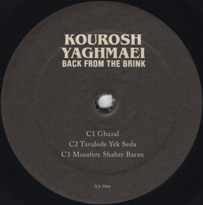 Back From The Brink (Pre-Revolution Psychedelic Rock From Iran: 1973-1979)(2xVINYL) | - ROCK *SEALED*