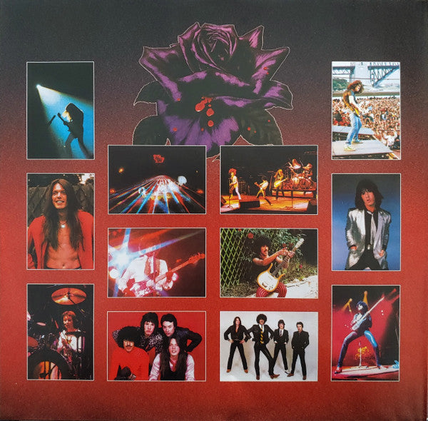 Black Rose (A Rock Legend)(VINYL) | Near Mint (NM or M-) - ROCK *SEALED*