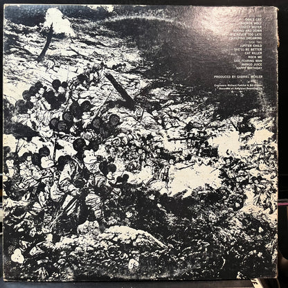 Steppenwolf - At Your Birthday Party (VINYL LP ABC DSX-50053 1969) | Excellent+ (EX+) Very Good Plus (VG+) - ROCK / USED *EXCELLENT+*