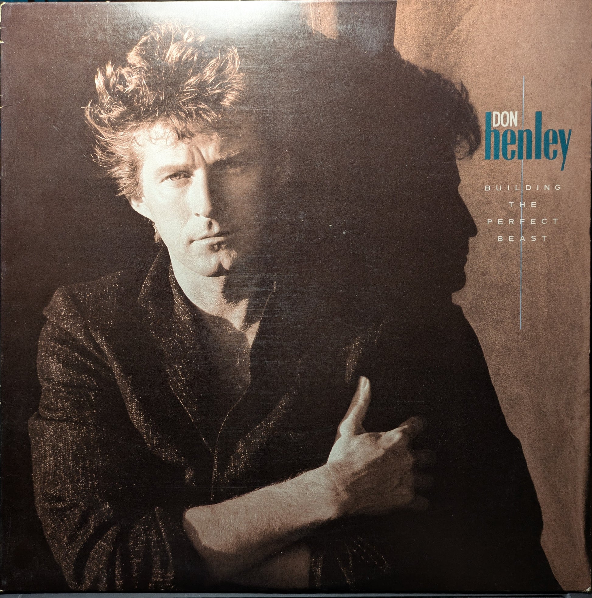 Building The Perfect Beast (VINYL) | Excellent+ (EX+) Excellent (EX) - ROCK / USED *EXCELLENT+*