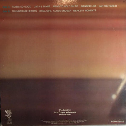 American Fool (VINYL) | Excellent+ (EX+) Excellent+ (EX+) - ROCK / USED *EXCELLENT+*