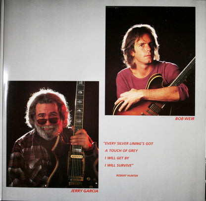 The Grateful Dead - In The Dark (VINYL) | Excellent+ (EX+) Excellent (EX) - ROCK / USED *EXCELLENT+*