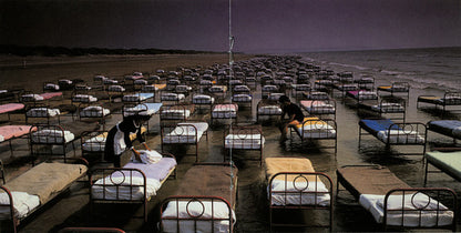 A Momentary Lapse Of Reason (CD) | Excellent+ (EX+) Excellent (EX) - ROCK / USED *EXCELLENT+*