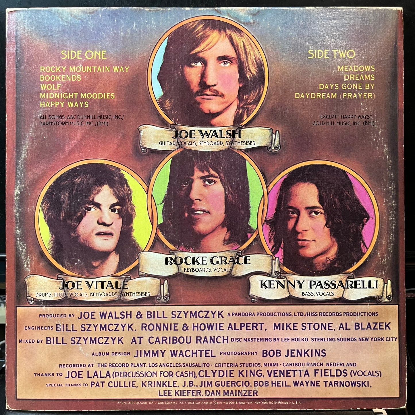 Joe Walsh - The Smoker You Drink, The Player You Get (VINYL LP ABC DUNHILL DSX-50140 1974) | USED - ROCK / USED *EXCELLENT*