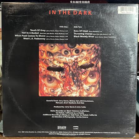 In The Dark (VINYL) | Excellent (EX) Very Good Plus (VG+) - ROCK / USED *EXCELLENT*