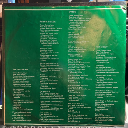 Christopher Cross (VINYL) | Excellent (EX) Excellent+ (EX+) - ROCK / USED *EXCELLENT*