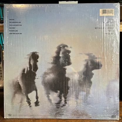 Against The Wind (VINYL) | Excellent (EX) Near Mint (NM) - ROCK / USED *EXCELLENT*