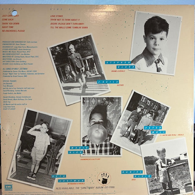 Love Stinks (VINYL) | Excellent (EX) Excellent+ (EX+) - ROCK / USED *EXCELLENT*