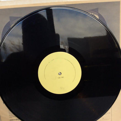 Moonlight Drive (VINYL) | Excellent (EX) Very Good Plus Plus (VG++) - ROCK / USED *EXCELLENT*