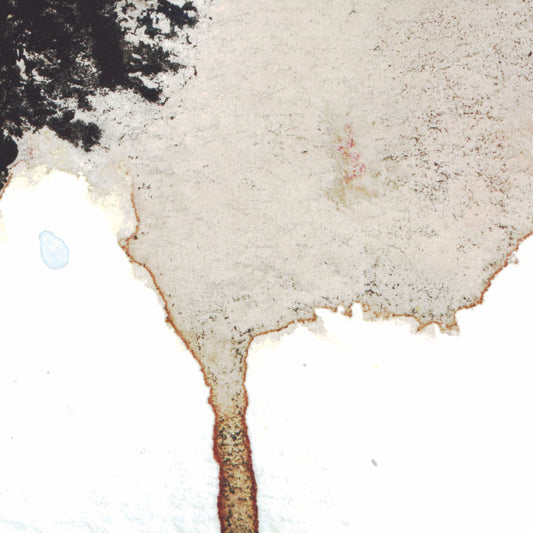 The Living Things / Von Trier Flakes | Excellent (EX) Near Mint (NM)