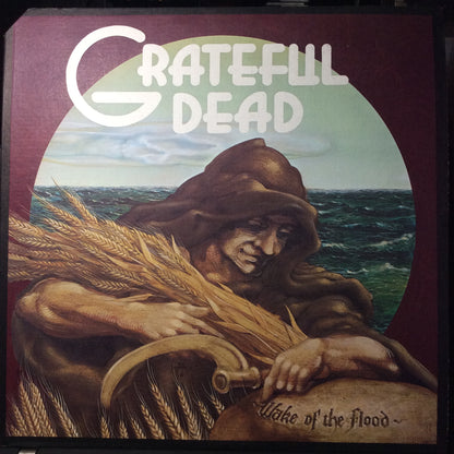 Wake Of The Flood (VINYL) | Excellent (EX) Excellent+ (EX+) - ROCK / USED *EXCELLENT*