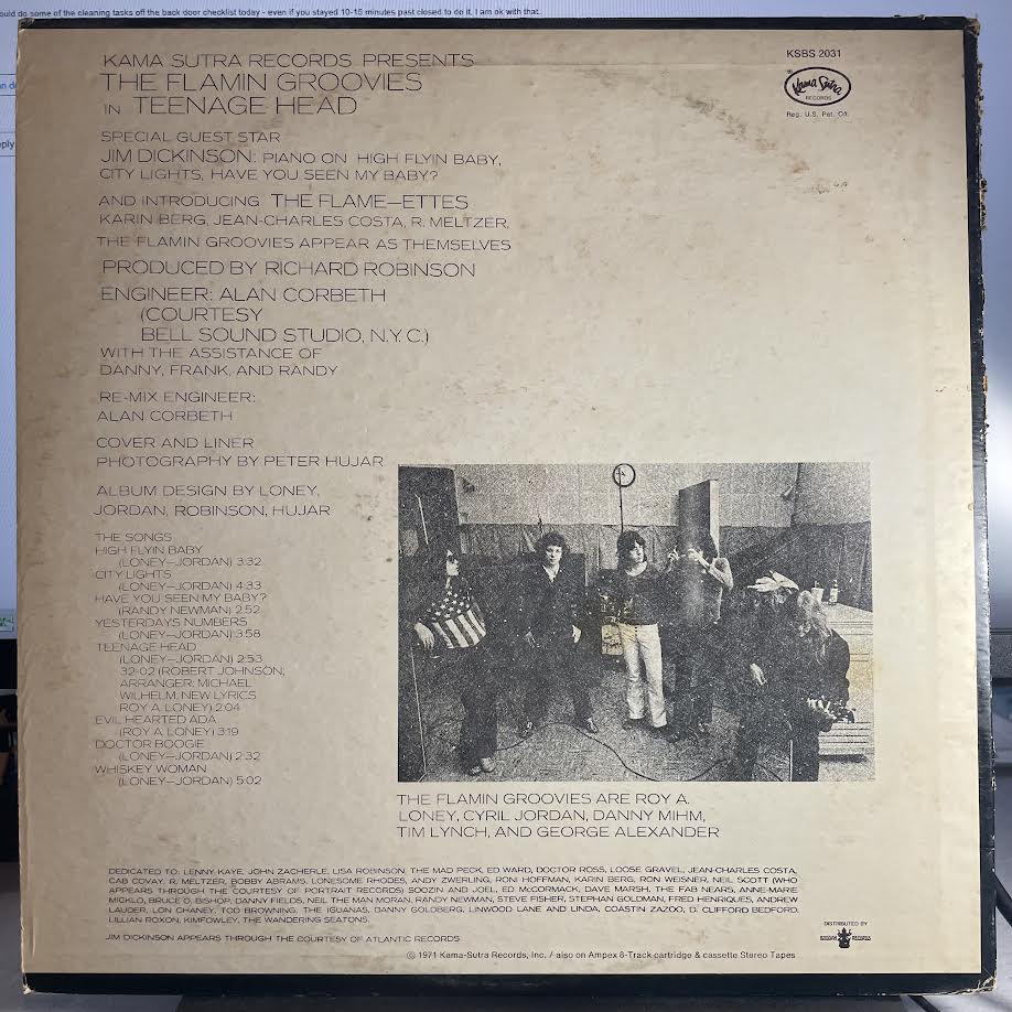 The Flamin' Groovies - Teenage Head (VINYL) | Excellent (EX) Very Good Plus (VG+) - ROCK / USED *EXCELLENT*