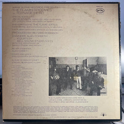 The Flamin' Groovies - Teenage Head (VINYL) | Excellent (EX) Very Good Plus (VG+) - ROCK / USED *EXCELLENT*