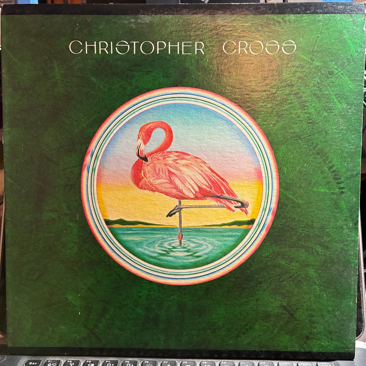 Christopher Cross (VINYL) | Excellent (EX) Excellent+ (EX+) - ROCK / USED *EXCELLENT*