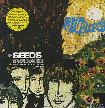 The Seeds - Future *ITALY / 2005* | Excellent (EX) Near Mint (NM) - ROCK / USED *EXCELLENT*