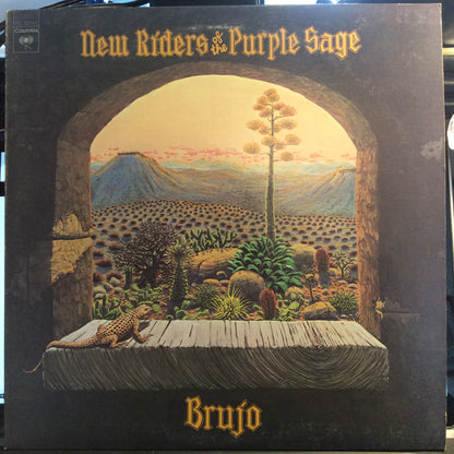 Brujo (VINYL) | Excellent (EX) Excellent (EX) - ROCK / USED *EXCELLENT*