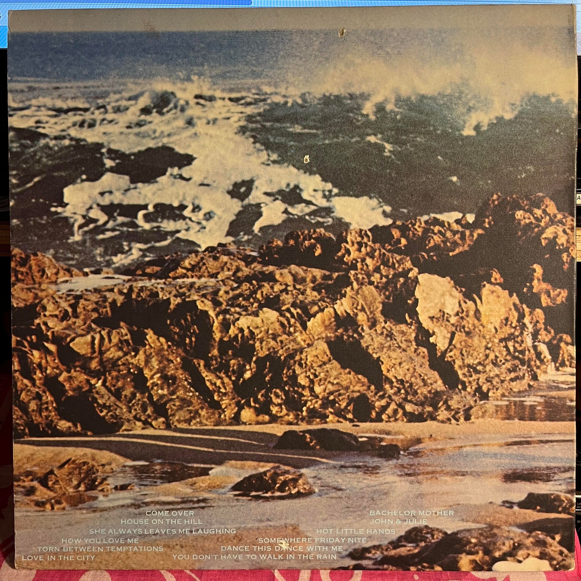 The Turtles - Turtle Soup *MONARCH* | Excellent (EX) Near Mint (NM) - ROCK / USED *EXCELLENT*