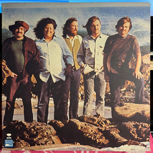 The Turtles - Turtle Soup *MONARCH* | Excellent (EX) Near Mint (NM) - ROCK / USED *EXCELLENT*