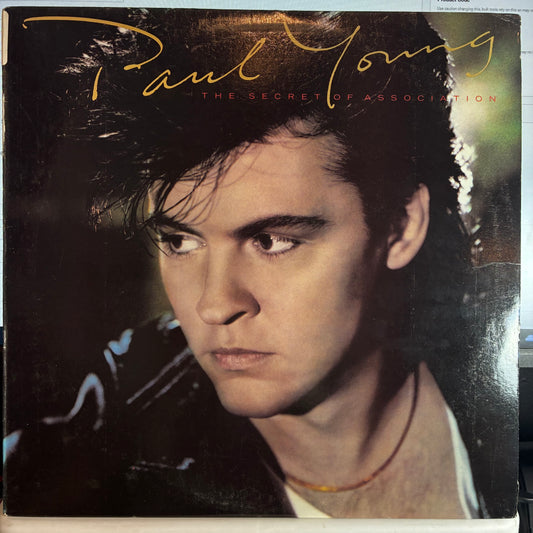 The Secret Of Association (VINYL) | Excellent (EX) Excellent (EX) - ROCK / USED *EXCELLENT*