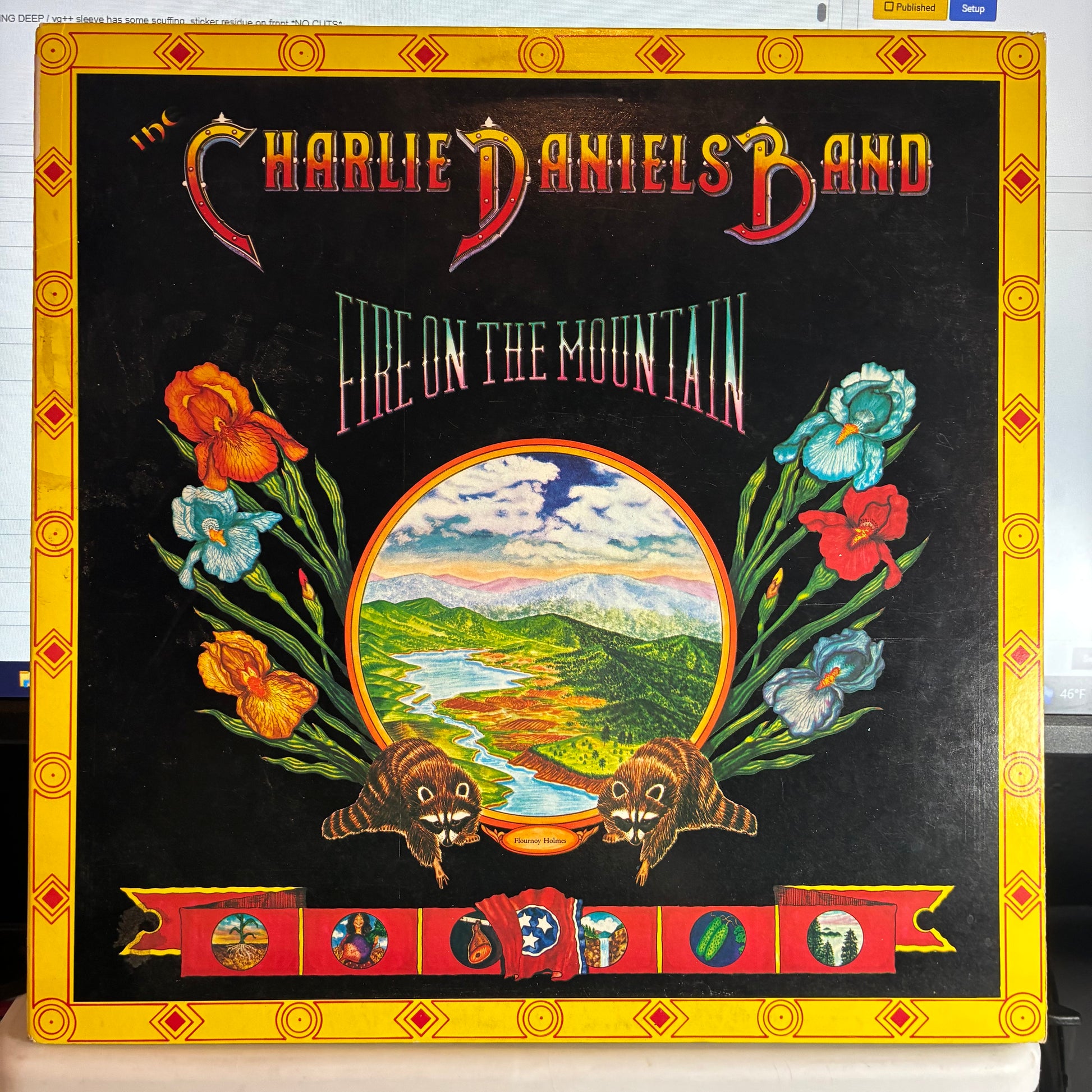 Fire On The Mountain (VINYL) | Excellent (EX) Very Good Plus Plus (VG++) - ROCK / USED *EXCELLENT*