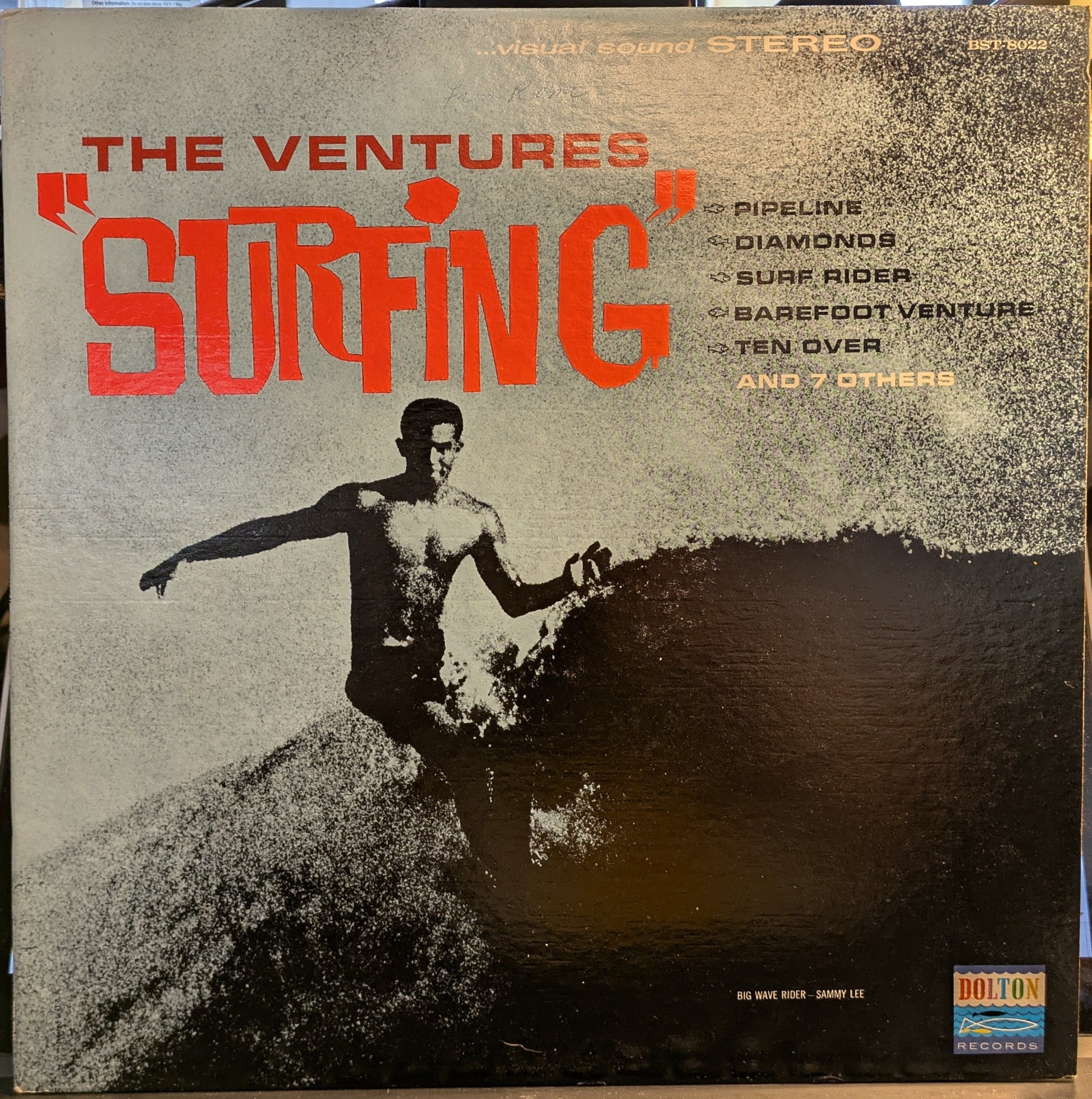 Surfing (VINYL) | Near Mint (NM) Near Mint (NM) - ROCK / USED *NEAR MINT-*