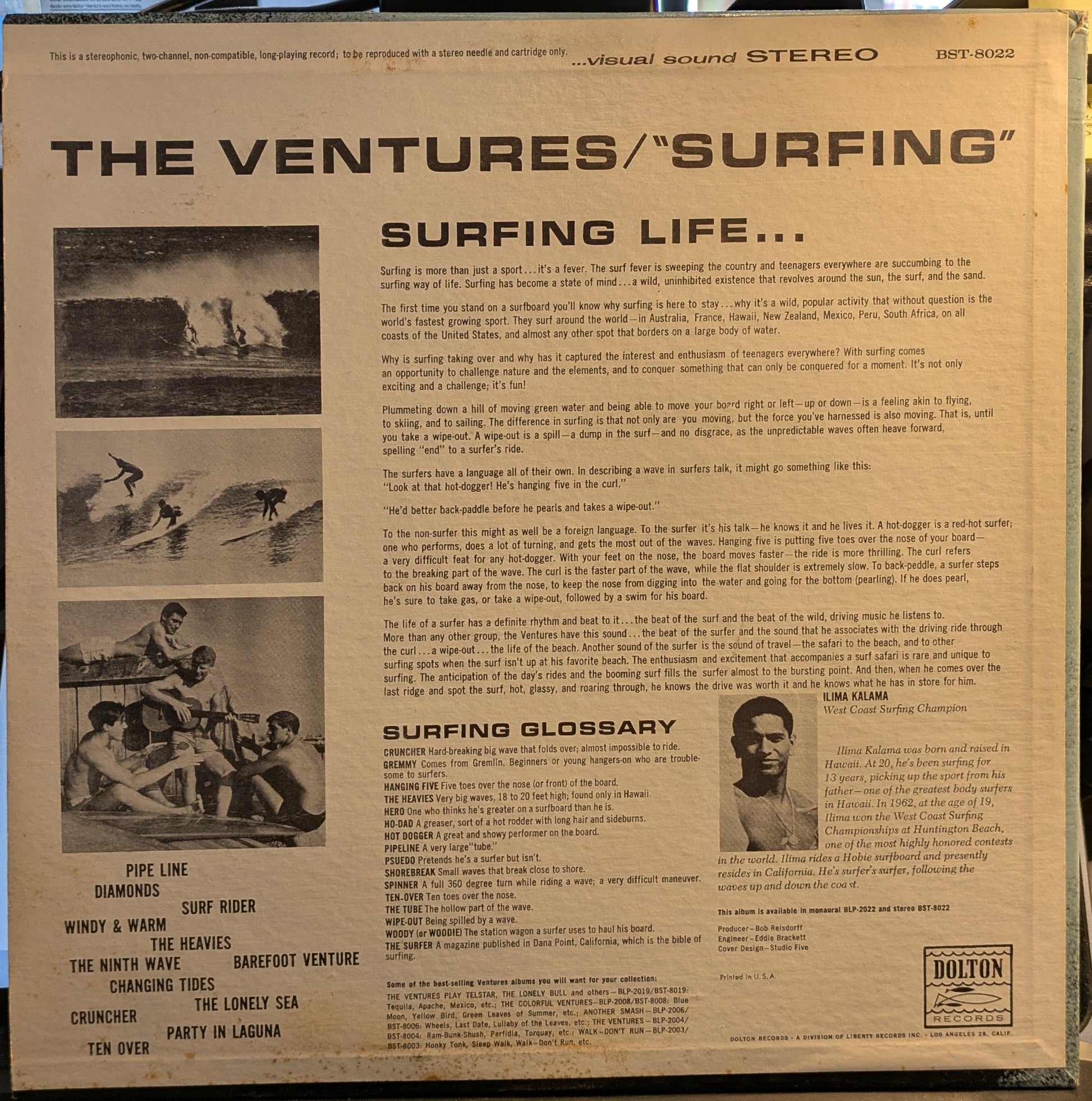 Surfing (VINYL) | Near Mint (NM) Near Mint (NM) - ROCK / USED *NEAR MINT-*