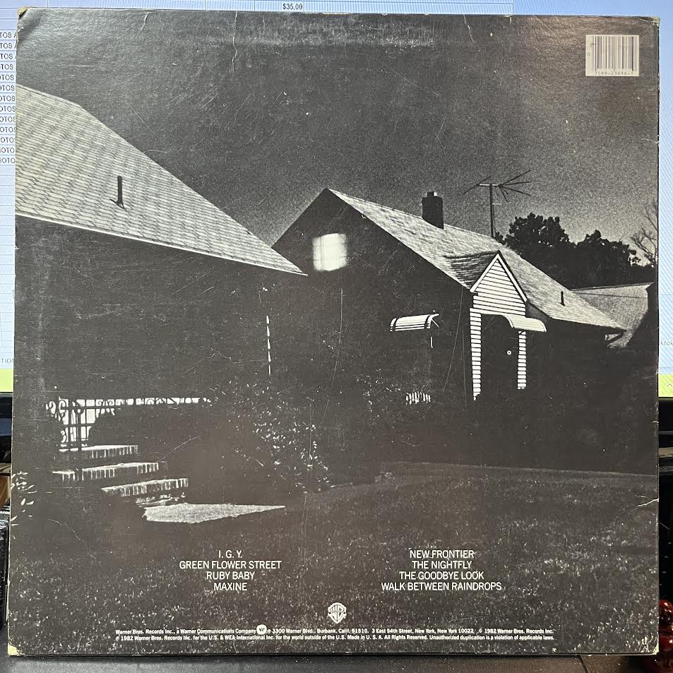 The Nightfly (VINYL) | Near Mint- (NM-) Excellent (EX) - ROCK / USED *NEAR MINT-*