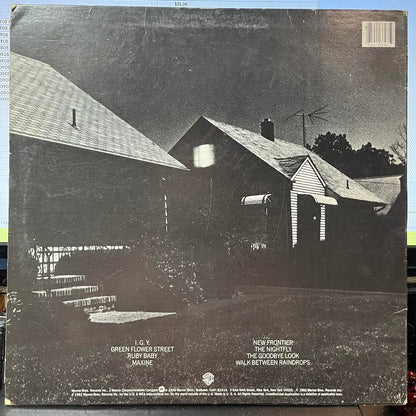 The Nightfly (VINYL) | Near Mint- (NM-) Excellent (EX) - ROCK / USED *NEAR MINT-*