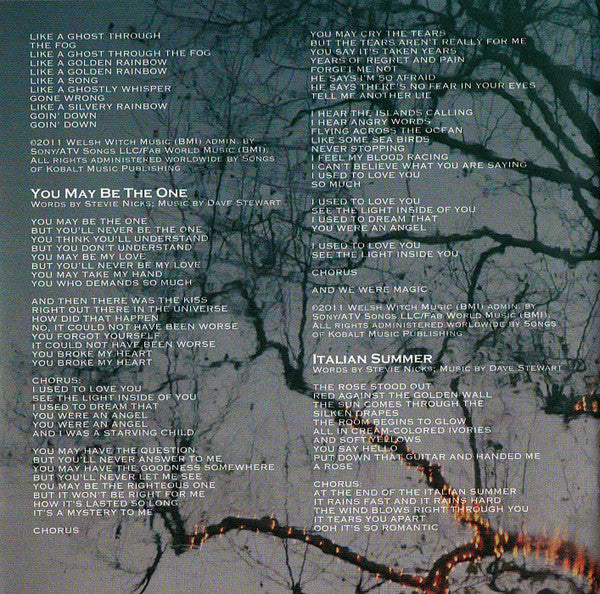 In Your Dreams (CD) | Near Mint- (NM-) Near Mint- (NM-) - ROCK / USED *NEAR MINT-*