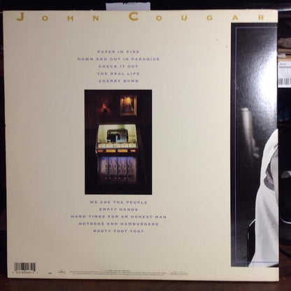 The Lonesome Jubilee (VINYL) | Near Mint- (NM-) Excellent+ (EX+) - ROCK / USED *NEAR MINT-*