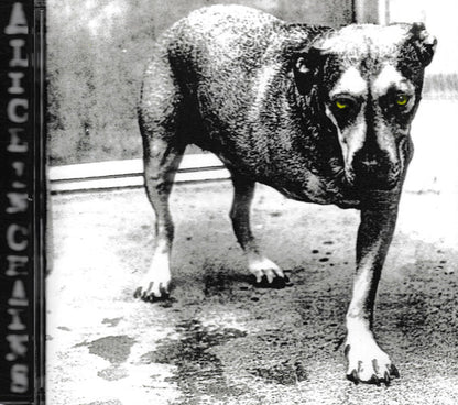 Alice In Chains - Alice In Chains | Near Mint (NM) Near Mint (NM) - ROCK / USED *NEAR MINT/CD*