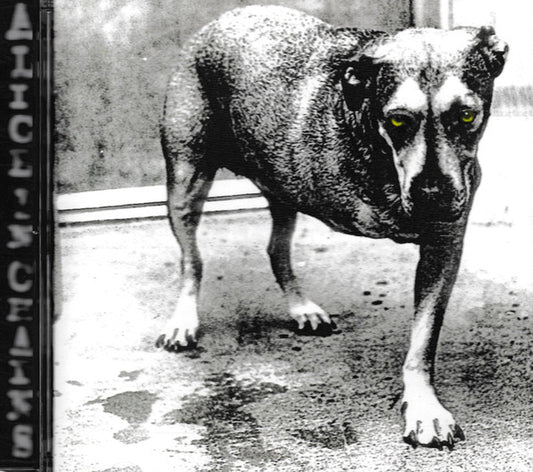 Alice In Chains - Alice In Chains | Near Mint (NM) Near Mint (NM) - ROCK / USED *NEAR MINT/CD*