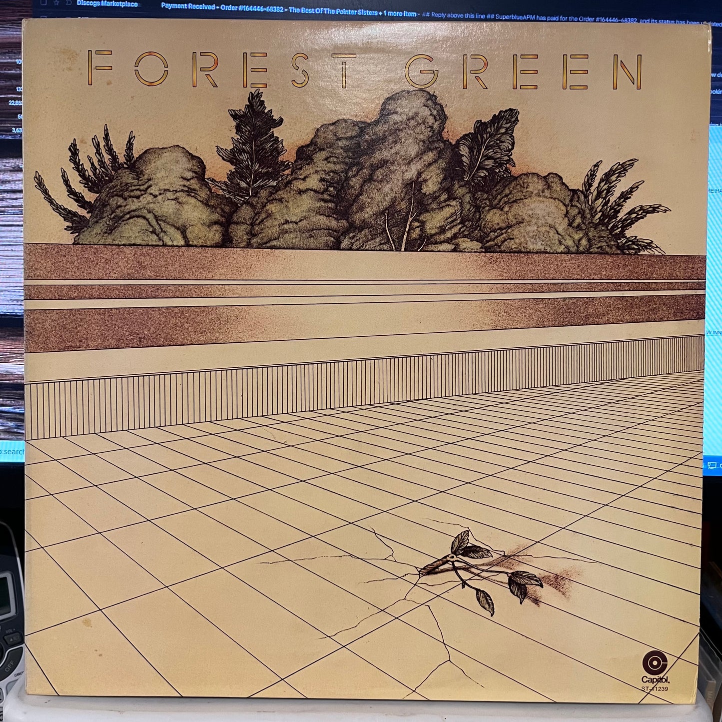Forest Green - Forest Green | Near Mint (NM) Near Mint (NM) - ROCK / USED *NEAR MINT/SIGNED*