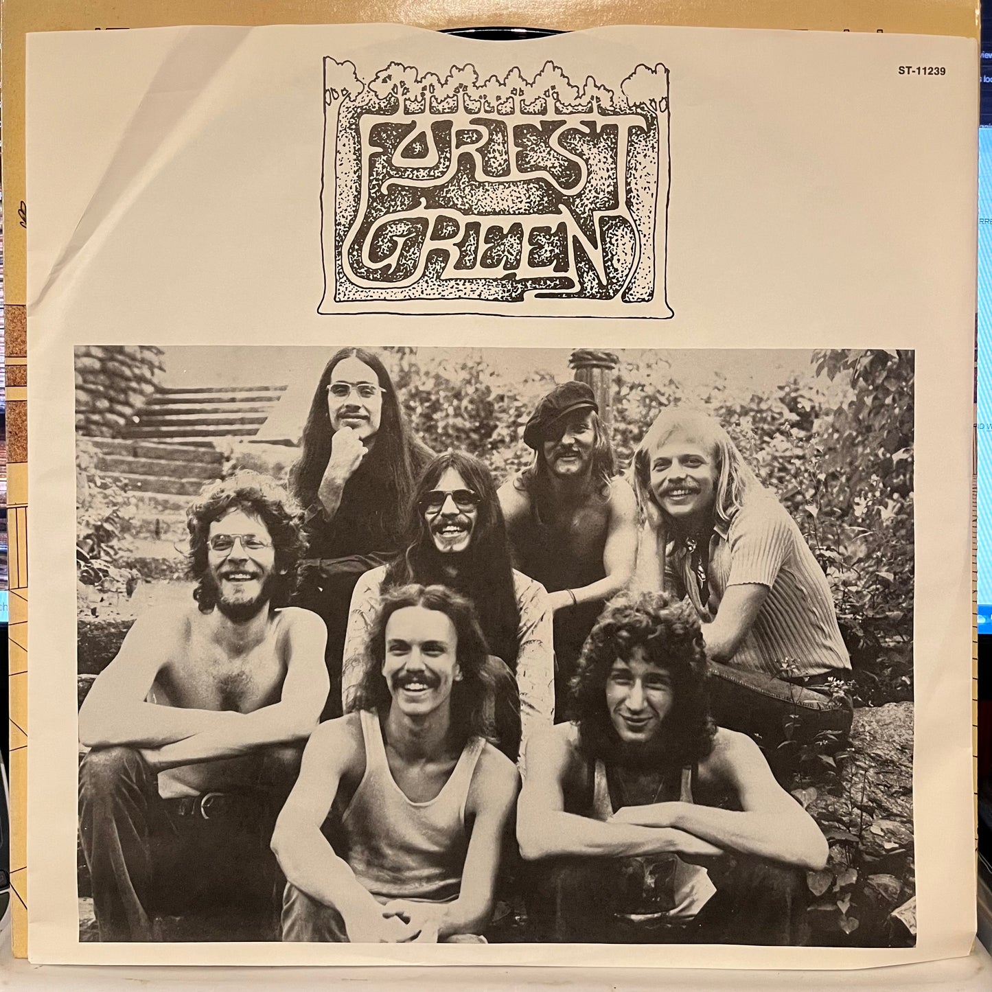 Forest Green - Forest Green | Near Mint (NM) Near Mint (NM) - ROCK / USED *NEAR MINT/SIGNED*