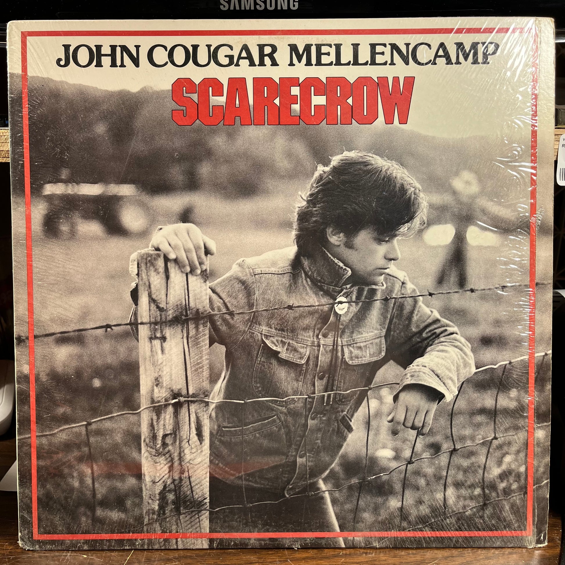 Scarecrow (VINYL) | Near Mint (NM) Near Mint (NM) - ROCK / USED *NEAR MINT*